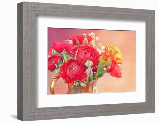 Red Ranunculus Flowers-Tsokur-Framed Photographic Print