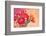 Red Ranunculus Flowers-Tsokur-Framed Photographic Print