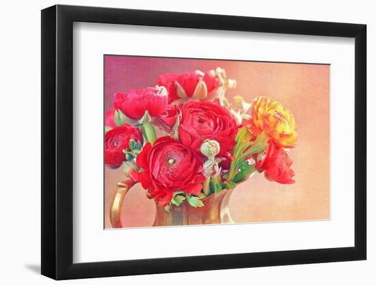 Red Ranunculus Flowers-Tsokur-Framed Photographic Print