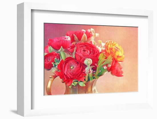 Red Ranunculus Flowers-Tsokur-Framed Photographic Print