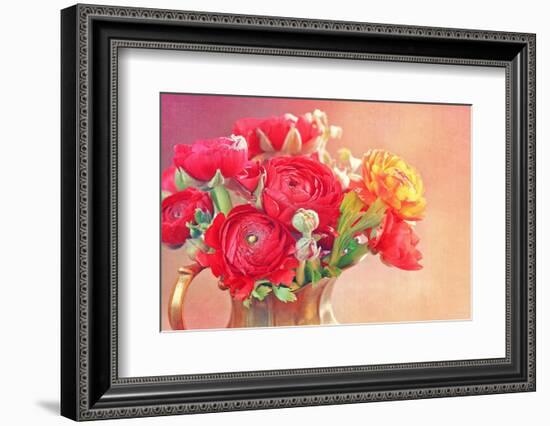 Red Ranunculus Flowers-Tsokur-Framed Photographic Print