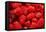 Red Raspberries, Keizer, Oregon, USA-Rick A Brown-Framed Premier Image Canvas