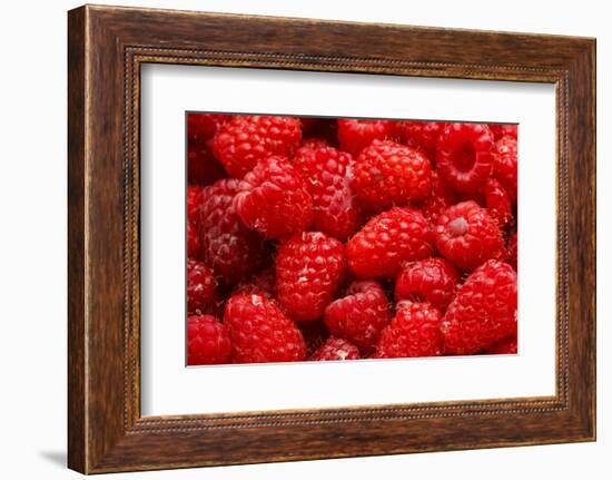 Red Raspberries, Keizer, Oregon, USA-Rick A Brown-Framed Photographic Print