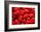 Red Raspberries, Keizer, Oregon, USA-Rick A Brown-Framed Photographic Print