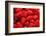 Red Raspberries, Keizer, Oregon, USA-Rick A Brown-Framed Photographic Print