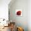 Red Raspberry-Nicole Katano-Photo displayed on a wall