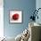 Red Raspberry-Nicole Katano-Framed Photo displayed on a wall