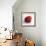 Red Raspberry-Nicole Katano-Framed Photo displayed on a wall