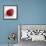 Red Raspberry-Nicole Katano-Framed Photo displayed on a wall