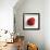 Red Raspberry-Nicole Katano-Framed Photo displayed on a wall