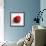 Red Raspberry-Nicole Katano-Framed Photo displayed on a wall