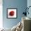 Red Raspberry-Nicole Katano-Framed Photo displayed on a wall