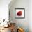 Red Raspberry-Nicole Katano-Framed Photo displayed on a wall