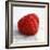 Red Raspberry-Nicole Katano-Framed Photo