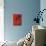 Red Red and Black-Vaan Manoukian-Mounted Art Print displayed on a wall