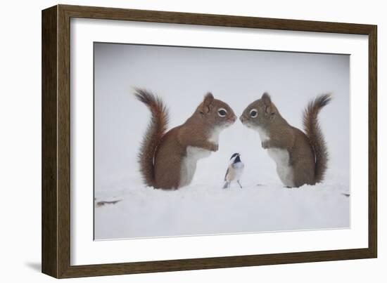 Red ! Red ! Red!! I'm Here, Your Best Friend Berry-Andre Villeneuve-Framed Photographic Print