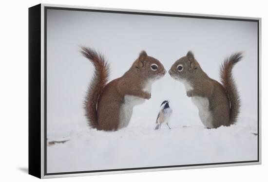 Red ! Red ! Red!! I'm Here, Your Best Friend Berry-Andre Villeneuve-Framed Premier Image Canvas