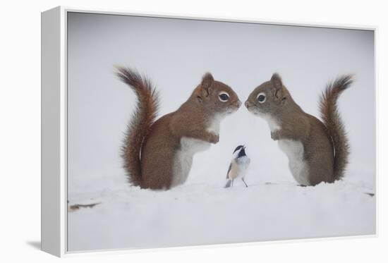 Red ! Red ! Red!! I'm Here, Your Best Friend Berry-Andre Villeneuve-Framed Premier Image Canvas