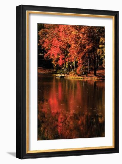 Red Reflections-Alan Hausenflock-Framed Photographic Print