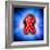 Red Ribbon, AIDS Awareness, Artwork-Christian Darkin-Framed Premium Photographic Print