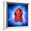 Red Ribbon, AIDS Awareness, Artwork-Christian Darkin-Framed Premium Photographic Print