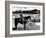 Red River, Montgomery Clift, 1948-null-Framed Premium Photographic Print