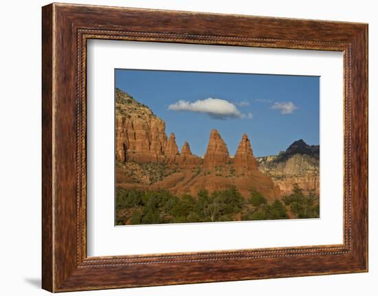 Red Rock, Bell Rock Pathway, Coconino NF, Sedona, Arizona, USA-Michel Hersen-Framed Photographic Print