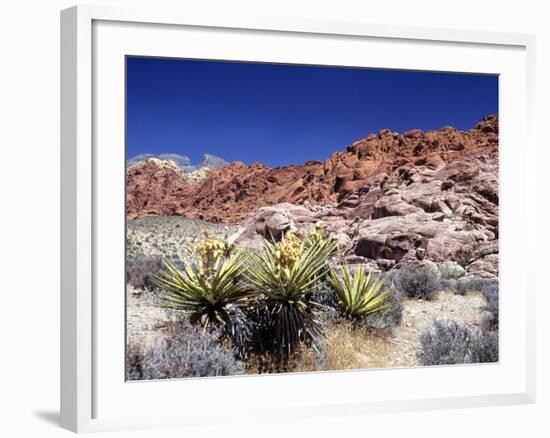 Red Rock Canyon National Conservation Area, Las Vegas, Nevada, USA-Michael DeFreitas-Framed Photographic Print