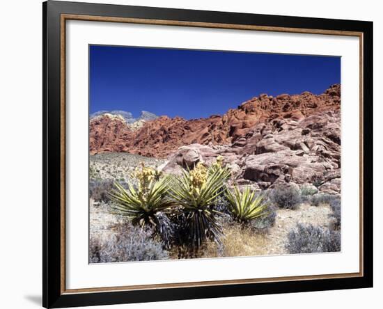 Red Rock Canyon National Conservation Area, Las Vegas, Nevada, USA-Michael DeFreitas-Framed Photographic Print