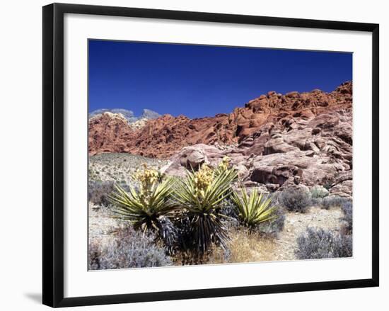 Red Rock Canyon National Conservation Area, Las Vegas, Nevada, USA-Michael DeFreitas-Framed Photographic Print