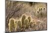 Red Rock Canyon National Conservation Area, Las Vegas, Nevada-Rob Sheppard-Mounted Photographic Print