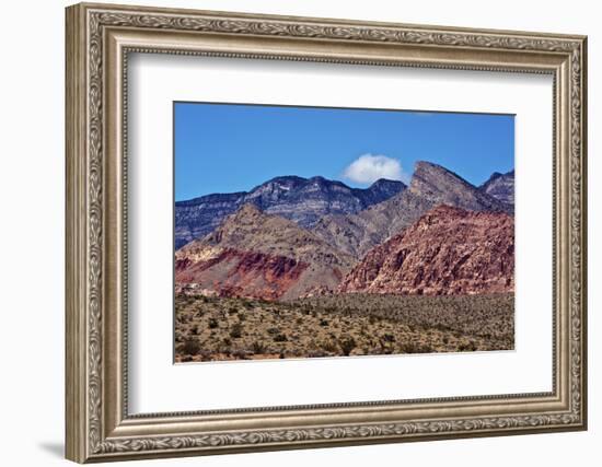 Red Rock Canyon, National Conservation Area, Nevada, USA-Michel Hersen-Framed Photographic Print