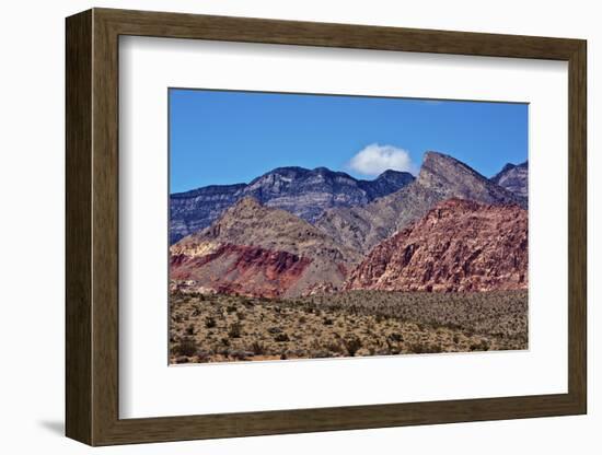 Red Rock Canyon, National Conservation Area, Nevada, USA-Michel Hersen-Framed Photographic Print