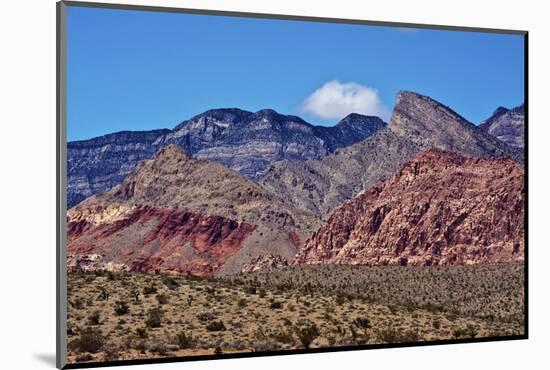 Red Rock Canyon, National Conservation Area, Nevada, USA-Michel Hersen-Mounted Photographic Print