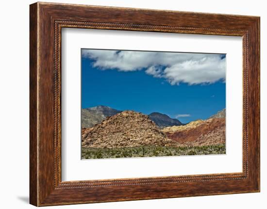 Red Rock Canyon National Conservation Area, Nevada, USA.-Michel Hersen-Framed Photographic Print