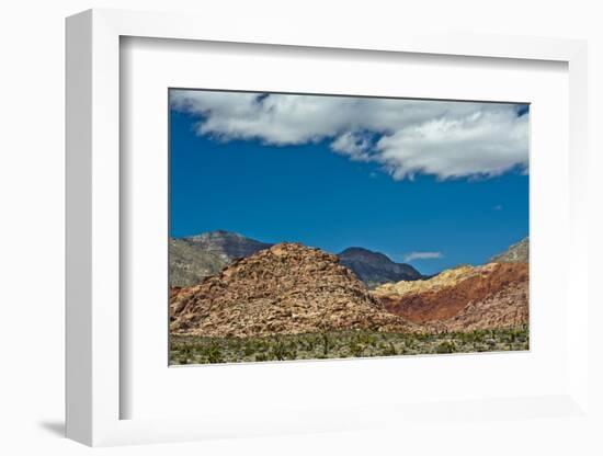 Red Rock Canyon National Conservation Area, Nevada, USA.-Michel Hersen-Framed Photographic Print