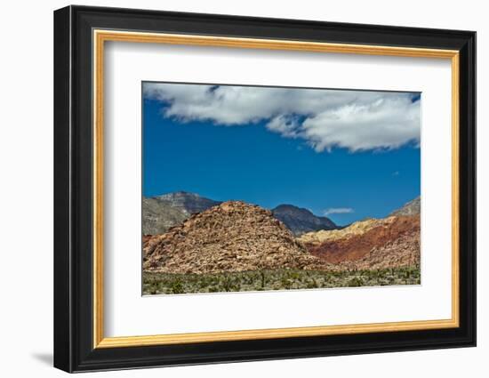 Red Rock Canyon National Conservation Area, Nevada, USA.-Michel Hersen-Framed Photographic Print