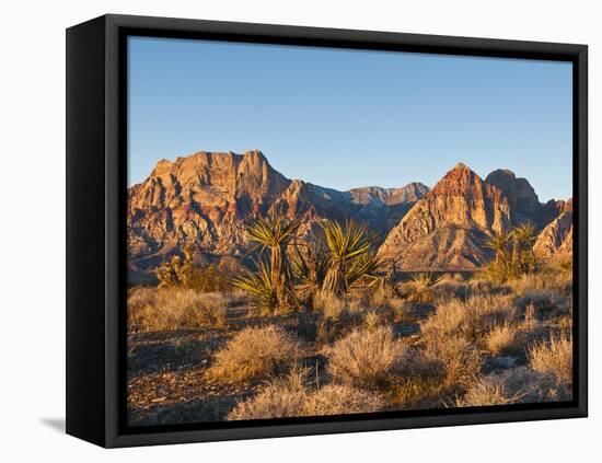 Red Rock Canyon Outside Las Vegas, Nevada, United States of America, North America-Michael DeFreitas-Framed Premier Image Canvas