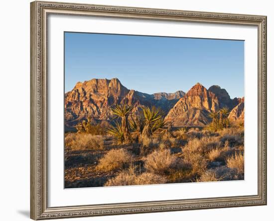 Red Rock Canyon Outside Las Vegas, Nevada, United States of America, North America-Michael DeFreitas-Framed Photographic Print