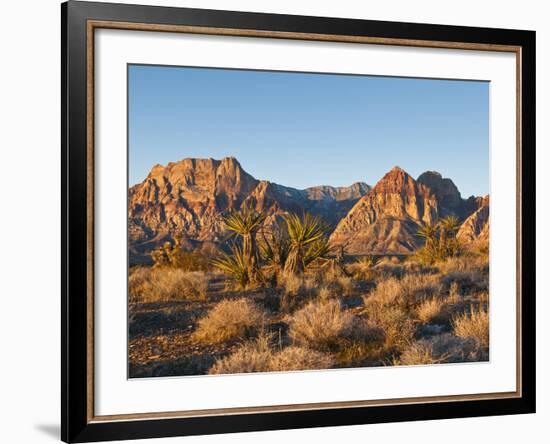 Red Rock Canyon Outside Las Vegas, Nevada, United States of America, North America-Michael DeFreitas-Framed Photographic Print