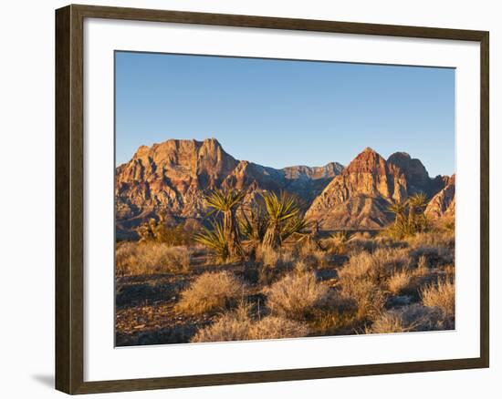 Red Rock Canyon Outside Las Vegas, Nevada, United States of America, North America-Michael DeFreitas-Framed Photographic Print