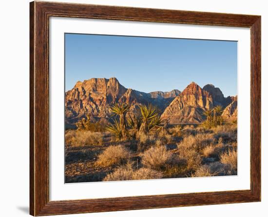 Red Rock Canyon Outside Las Vegas, Nevada, United States of America, North America-Michael DeFreitas-Framed Photographic Print