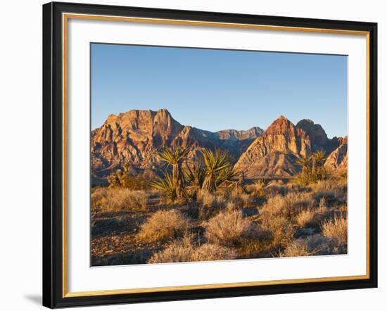 Red Rock Canyon Outside Las Vegas, Nevada, United States of America, North America-Michael DeFreitas-Framed Photographic Print