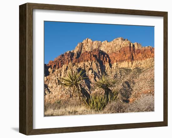 Red Rock Canyon Outside Las Vegas, Nevada, United States of America, North America-Michael DeFreitas-Framed Photographic Print