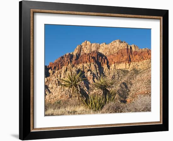 Red Rock Canyon Outside Las Vegas, Nevada, United States of America, North America-Michael DeFreitas-Framed Photographic Print