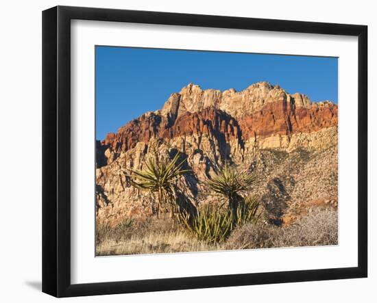 Red Rock Canyon Outside Las Vegas, Nevada, United States of America, North America-Michael DeFreitas-Framed Photographic Print