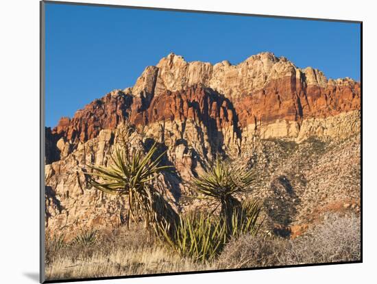 Red Rock Canyon Outside Las Vegas, Nevada, United States of America, North America-Michael DeFreitas-Mounted Photographic Print