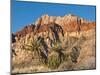 Red Rock Canyon Outside Las Vegas, Nevada, United States of America, North America-Michael DeFreitas-Mounted Photographic Print