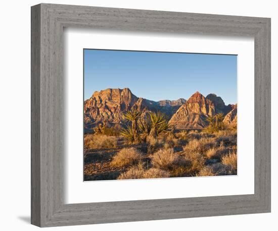 Red Rock Canyon Outside Las Vegas, Nevada, United States of America, North America-Michael DeFreitas-Framed Photographic Print