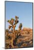 Red Rock Canyon Outside Las Vegas, Nevada, USA-Michael DeFreitas-Mounted Photographic Print